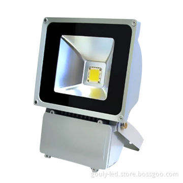 LED flood light FL100W